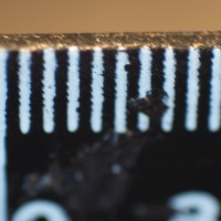 Super Macro Brothers: the Weigh-In