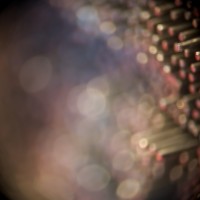 The Super Macro Bros.