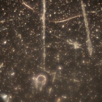 The Super Macro Bros.