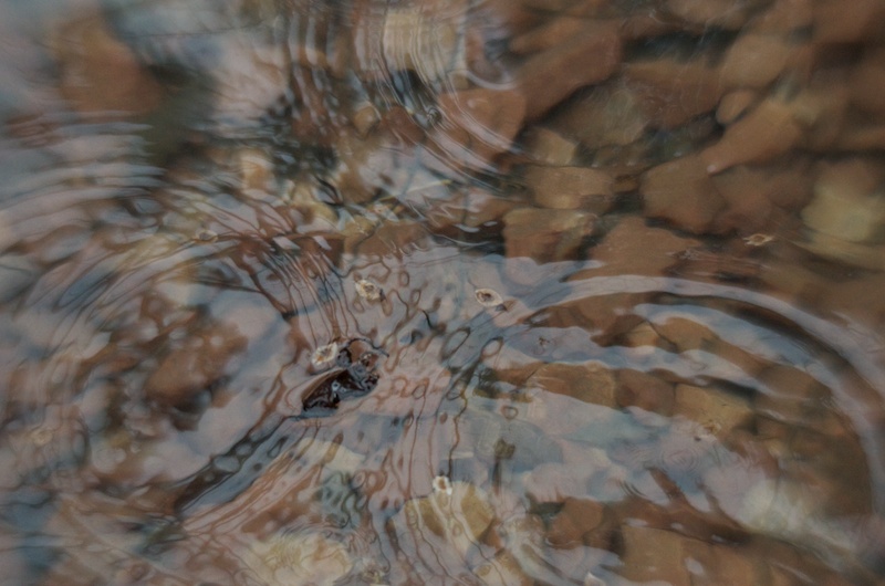 365.77 Pool of Dreams