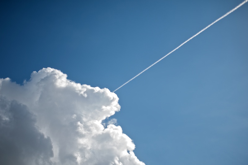 365.79 Ohne Titel (Sending Feelers Out Into The Void)