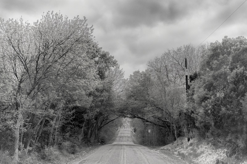 365.81 Spring Creek Forest Preserve Photowalk