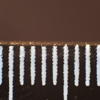 Super Macro Brothers: the Weigh-In