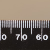 Super Macro Brothers: the Weigh-In