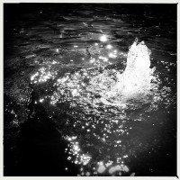 UTD Campus Photowalk and Hipstamatic recipe tests