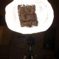 365.66 Proof of Concept (with outtakes)