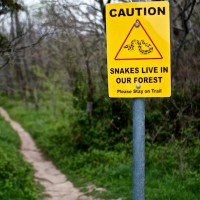 365.81 Spring Creek Forest Preserve Photowalk