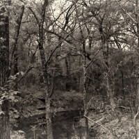 365.81 Spring Creek Forest Preserve Photowalk