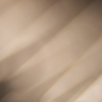 The Super Macro Bros.