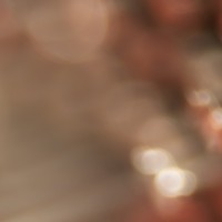 The Super Macro Bros.