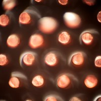 The Super Macro Bros.