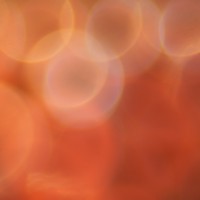 The Super Macro Bros.