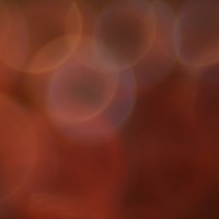 The Super Macro Bros.