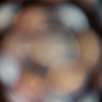 The Super Macro Bros.