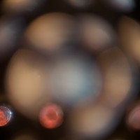 The Super Macro Bros.