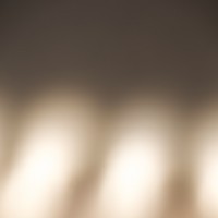 The Super Macro Bros.