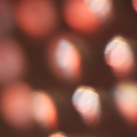 The Super Macro Bros.