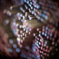 The Super Macro Bros.