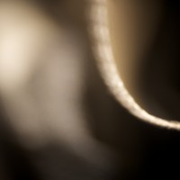 The Super Macro Bros.