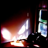 365.151 Olive and Ivan: Hipstamaticats