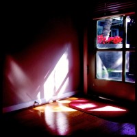 365.151 Olive and Ivan: Hipstamaticats