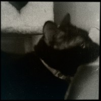 Hipstamatic Disposable update 10 – the BlackKeys 44 camera