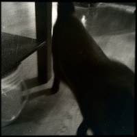 Hipstamatic Disposable update 10 – the BlackKeys 44 camera