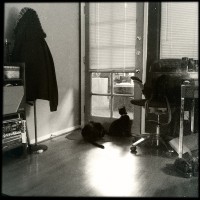 Hipstamatic Disposable update 10 – the BlackKeys 44 camera