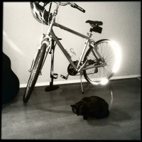 Hipstamatic Disposable update 10 – the BlackKeys 44 camera