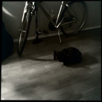 Hipstamatic Disposable update 10 – the BlackKeys 44 camera