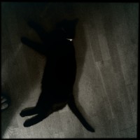 Hipstamatic Disposable update 10 – the BlackKeys 44 camera