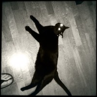 Hipstamatic Disposable update 10 – the BlackKeys 44 camera