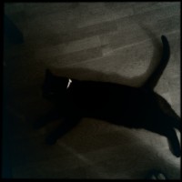 Hipstamatic Disposable update 10 – the BlackKeys 44 camera