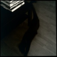 Hipstamatic Disposable update 10 – the BlackKeys 44 camera