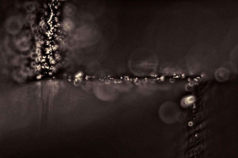 365.164 prescience, perhaps