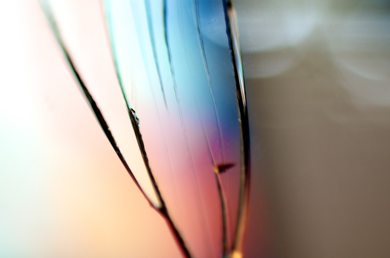 365.167 some kinda fashion