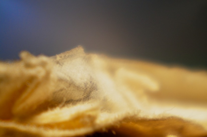 365.190 it could be a balloon. it could be Franky. It could be very fresh and clean.