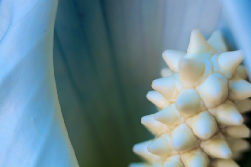 365.227 like something dangerous