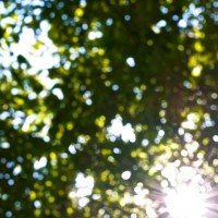 365 249 circles and lines 20120902©JamesECockroft