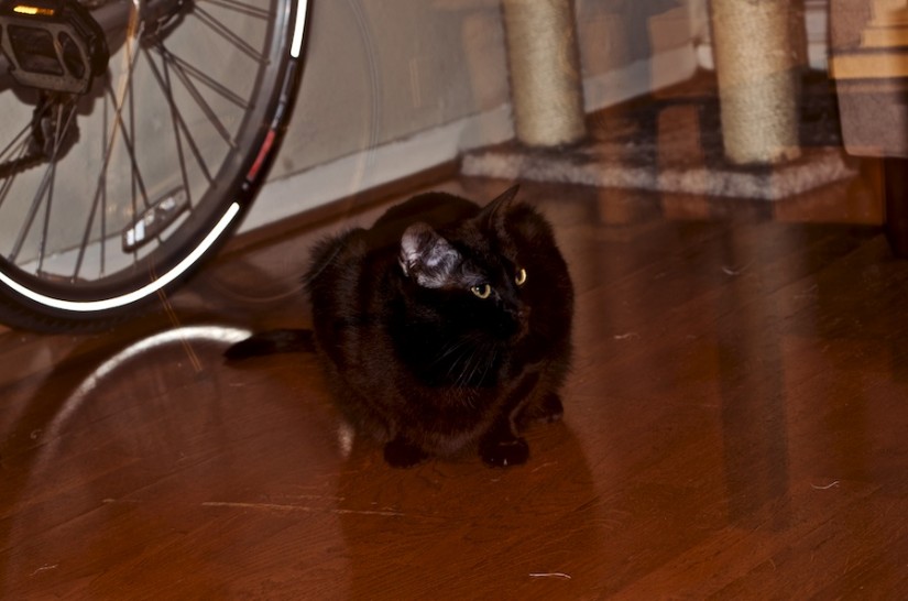 365 252 of interest 20120905©JamesECockroft