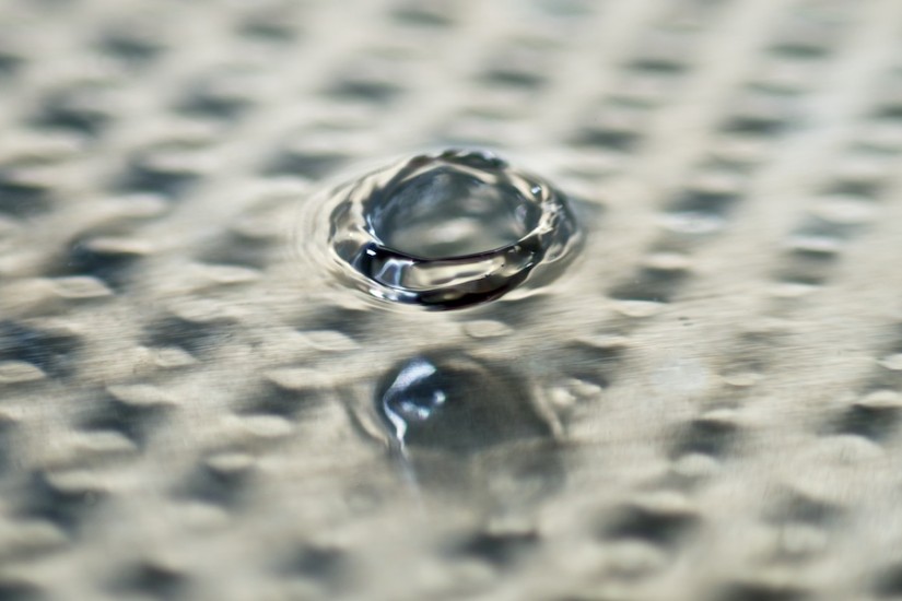 365 258 bloom 20120911©JamesECockroft