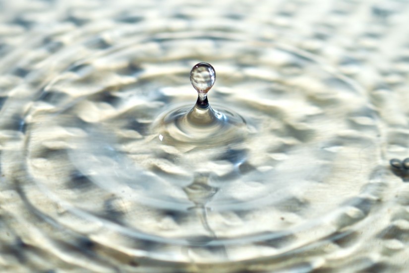 365 260 Closer 20120913©JamesECockroft