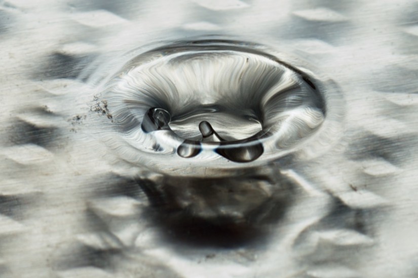 365 261 Closer Still 20120914©JamesECockroft