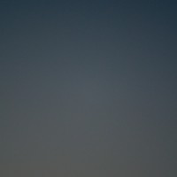 365 265 golden chain 20120922©JamesECockroft