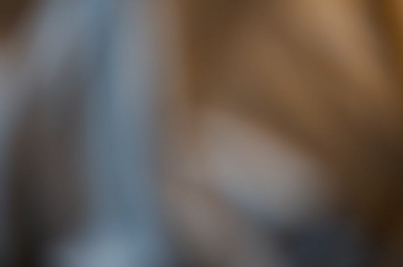 365 265 plush safe 20120918©JamesECockroft