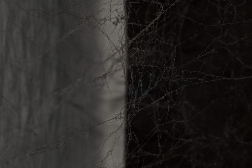 365 272 ohne titel 20120925©JamesECockroft