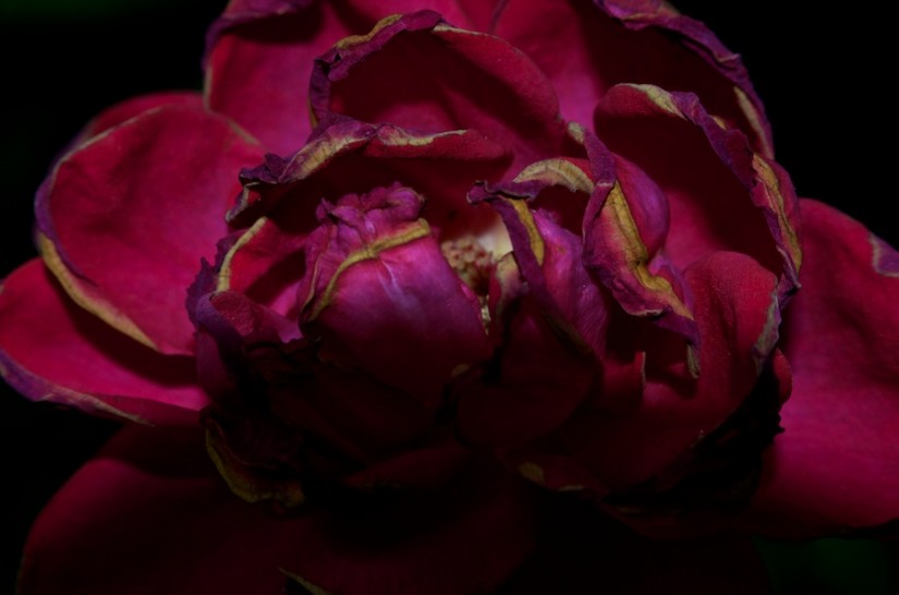 365 275 menacing 20120928©JamesECockroft