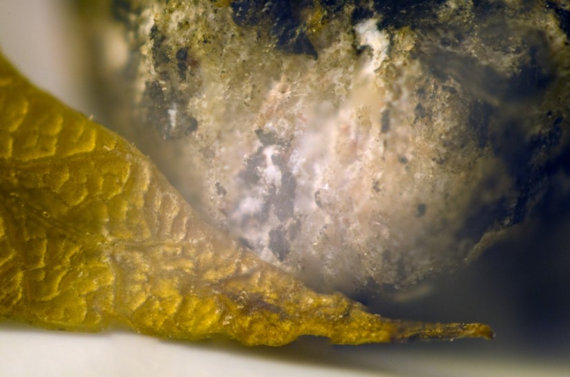 365 276 Fail2 20120929©JamesECockroft