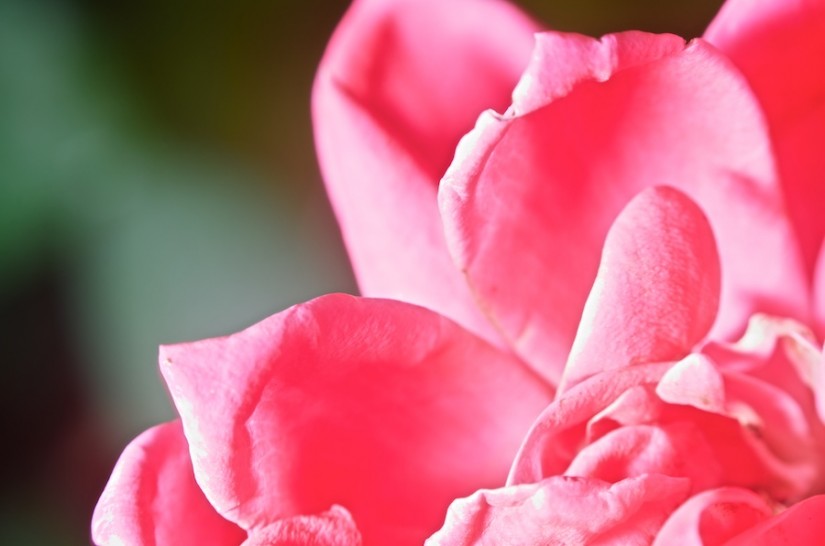 365 298 the goggles do nothing 20121021©JamesECockroft