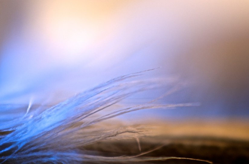 365 299b Monday Fail 20121022©JamesECockroft